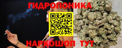 ECSTASY Волжск