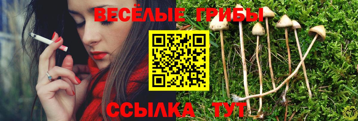 Галлюциногенные грибы ЛСД  Вход с VPN  Галлюциногенные грибы Cubensis  Гусиноозёрск 
