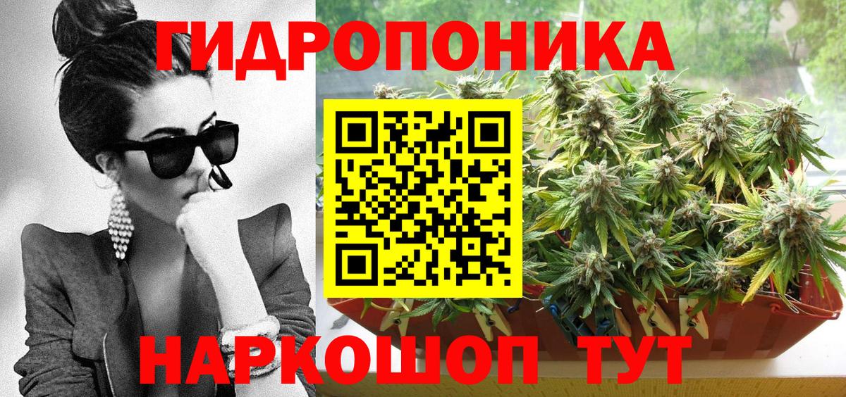 Марихуана гибрид  Гусиноозёрск  Марихуана марихуана 